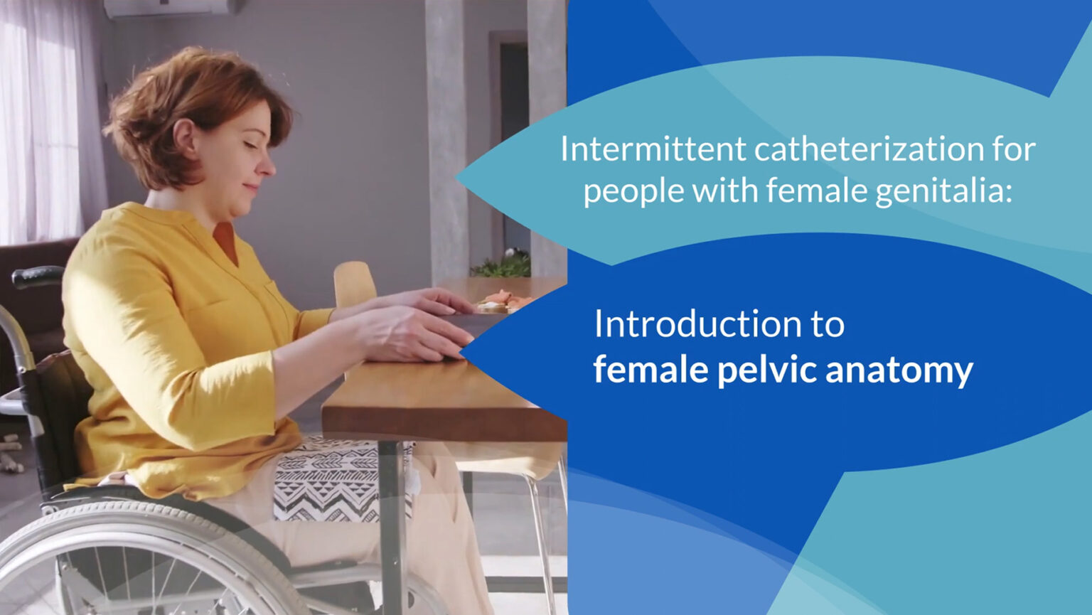 Intermittent Catheterization - Introduction to Female Pelvic Anatomy ...