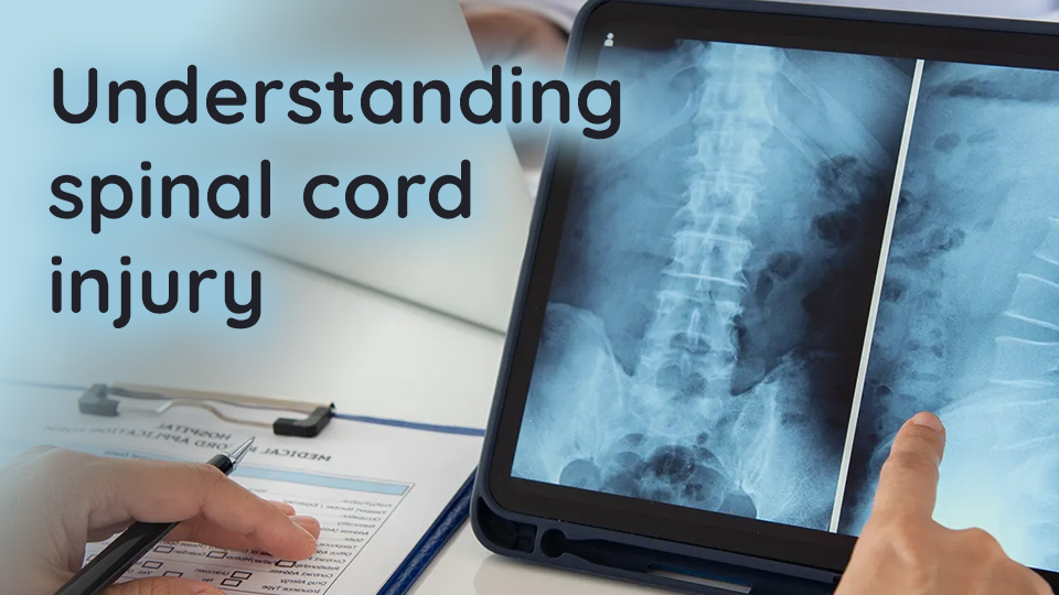 Understanding spinal cord injury