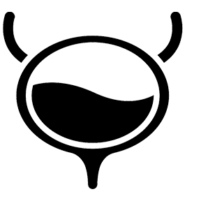 Bladder